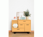EGGSHELL PAINT EP-17 VINTAGE YELLOW